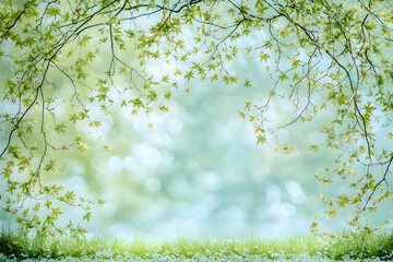 Obraz premium Serene spring landscape featuring delicate maple leaves arching over a grassy foreground with bokeh background. Perfect for spring themes, nature designs, and peaceful backgrounds.