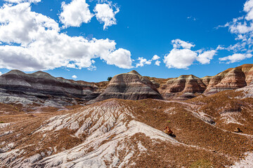 Blue Mesa is a very colorful badland area at Petrified Forest National Park with a nice trail.