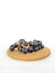 Black grapes still attached to the stem with a black background