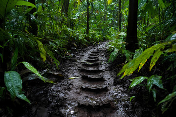 Fototapeta premium A series of footprints on a winding dirt path evoke mystery and adventurous natural journeys