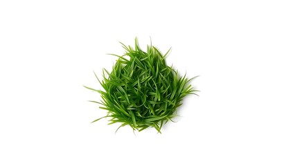 Top View Green Grass A Trio Isolate