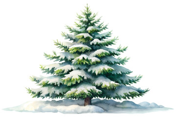 Watercolor Pine Tree Lightly Dusted with Snow