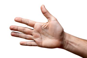 Open Human Hand with Slightly Curved Fingers