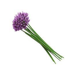 Obraz premium Purple flower bouquet vibrant green background striking visual