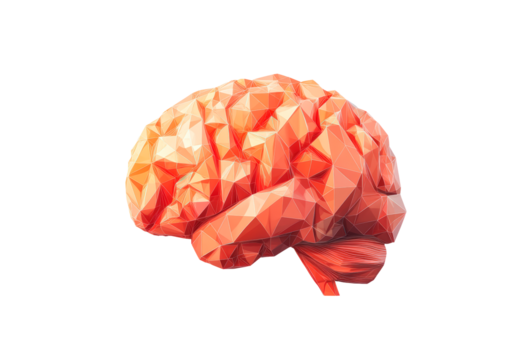 a low poly brain isolated on transparent background
