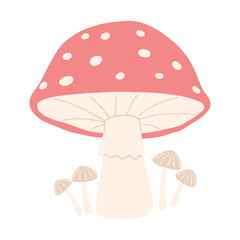 Mushrooms vector illustration