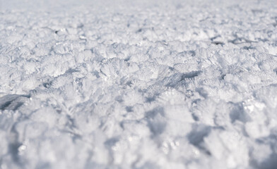 Crystal formations cover a frozen landscape during winter, showcasing intricate designs under bright sunlight.