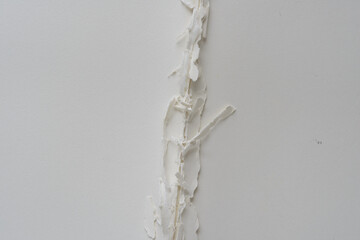 detail of damaged binding and blank paper