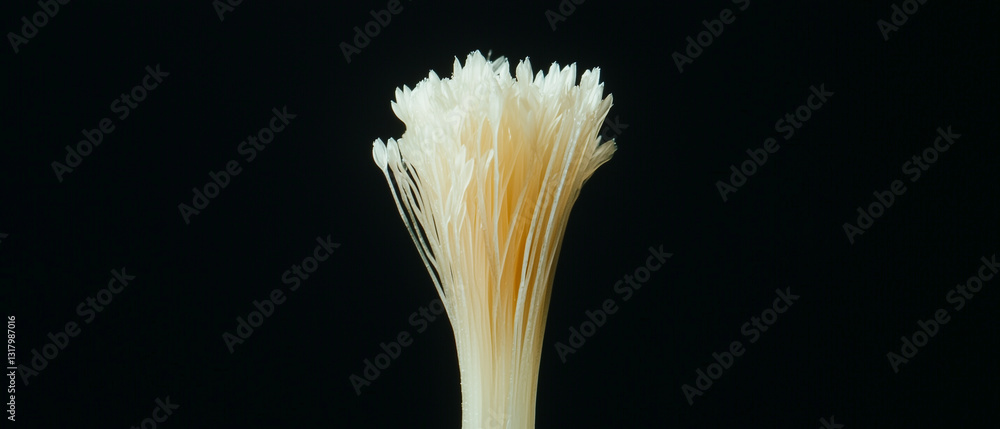 Poster macro shot of flower pistil with intricate texture against dark background