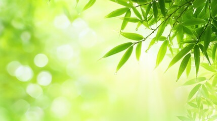 Vibrant bamboo leaf with dewdrops, soft sunlight, blurred flowers, embodying summer's refreshing simplicity.