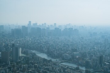 Tokyo city skyline and panoramic view from Tokyo Observatory, Japan, photographed in summer