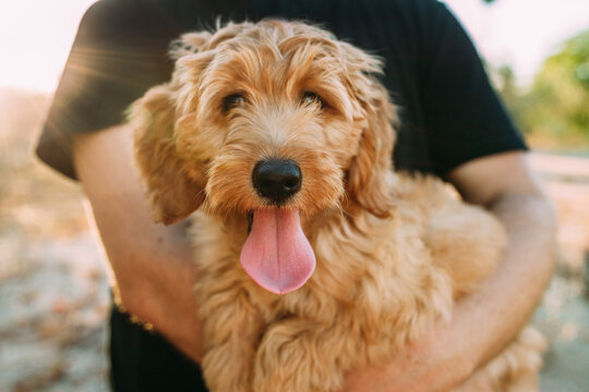 Man holding puppy