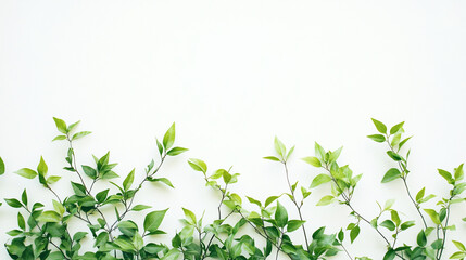 A vibrant display of green leaves against a soft, light background, creating a fresh and natural ambiance. Perfect for a calming, botanical aesthetic.