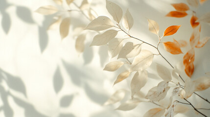 A delicate arrangement of pale leaves casts soft shadows against a light background, with a few vibrant orange leaves adding a subtle pop of color.