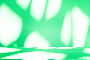 Wall interior background, studio and backdrops show products. with leaf shadow from window color green and white. background for text insertion and presentation of product	
