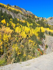 Beautiful Fall Colors road trip