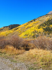 Beautiful Fall Colors road trip