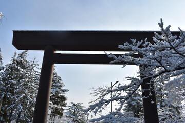 福島県の名所　開成山大神宮　周辺の風景　鳥居