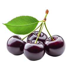 cherries on a white background