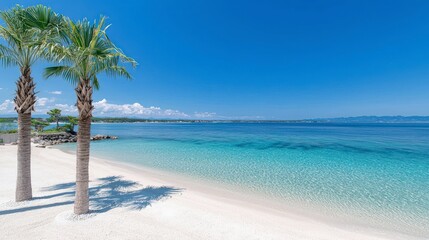 Idyllic Tropical Beach  Palm Trees  Turquoise Water  White Sand
