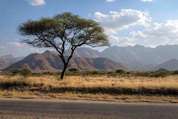 Obraz premium Serene African Savanna Landscape Acacia Tree Mountains and Grasslands under a Blue Sky