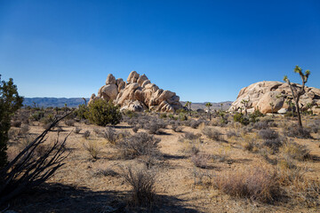 Joshua Tree National Park, California