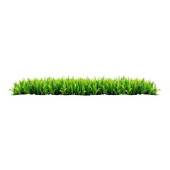 Fototapeta premium Green Grass Lawn on Dark Soil, Seamless Panoramic Background