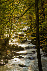 Autumn, Greenbrier, Great Smoky Mountains National Park