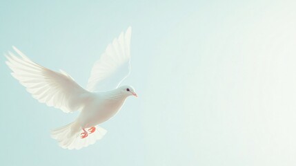 Fototapeta premium White bird in flight, serene and graceful, symbolizes freedom and peace, with soft pastel background for text space.