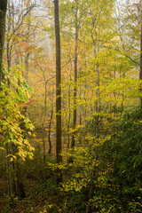 Autumn, Great Smoky Mountains National Park