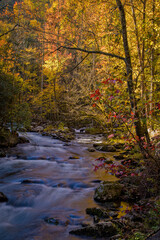 Autumn, Tremont, Great Smoky Mountains National Park