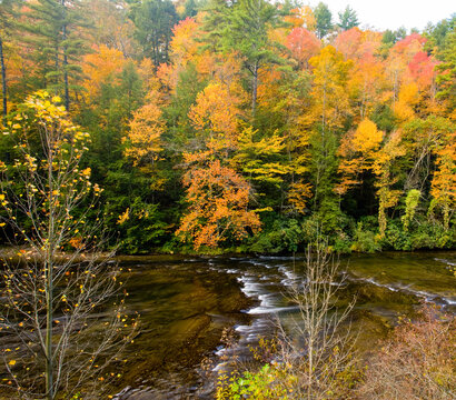 Autumn, Tellico River, Cherokee National Forest