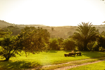 Fototapeta premium Cayo, Belize at sunset