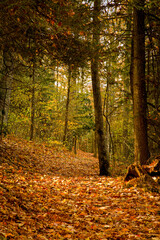 Autumn, Great Smoky Mountains National Park