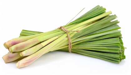 Fresh Lemongrass Bundle