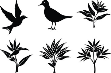 Black and White Vector Illustration of Birds and Tropical Plants: Silhouette Graphic Design Elements for Nature-Themed Projects