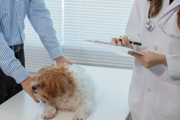 A young man brings his dog to a female veterinarian at an animal hospital to examine the dog's behavior and vaccinate it against rabies.