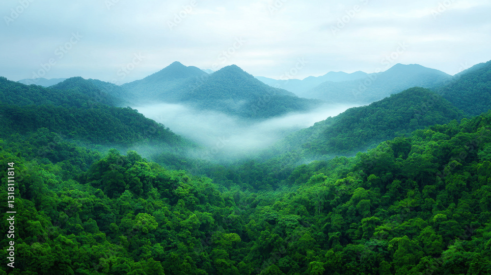 Poster lush green rainforest with mist rising from trees, creating serene atmosphere. mountains in backgrou