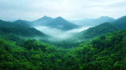 Lush green rainforest with mist rising from trees, creating serene atmosphere. mountains in background enhance natural beauty of this tranquil landscape