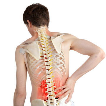 Back Pain: Spine & Lower Back Pain Relief isolated on transparent background