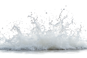 water wave splashing isolated on white or transparent background