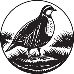 Naklejka premium chukar partridge bird silhouette printable design