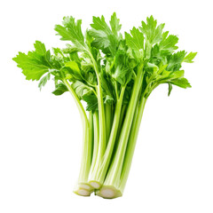 Fresh celery stalks on a transparent background, showcasing vibrant greens in a clean and simple composition, Fresh celery isolated on transparent background