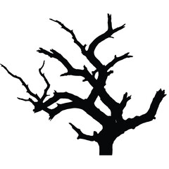 tree silhouette vector