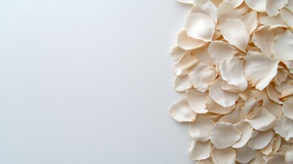 Delicate cream-colored rose petals arranged on a plain white background