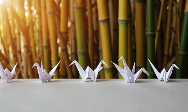 Arranging Origami Cranes In Front Of Bamboo Background For Serene Effect