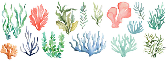 Vibrant watercolor sea plants collection, seaweed and coral reef elements illustration set.