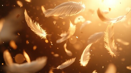 Floating White Feathers with a Warm Golden Sunlit Background