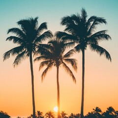 beautiful tropical sunset with silhouette palm tree