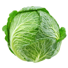 Obraz premium Fresh green cabbage resting on a clean transparent background highlighting its texture and vibrant color, Red cabbage on transparent background